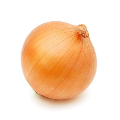 Onion, Yellow Jumbo 50-LB – Daylight Foods