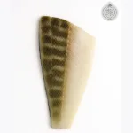 BARRED SAND BASS