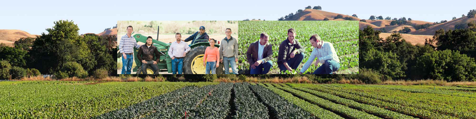 Capay Organic banner