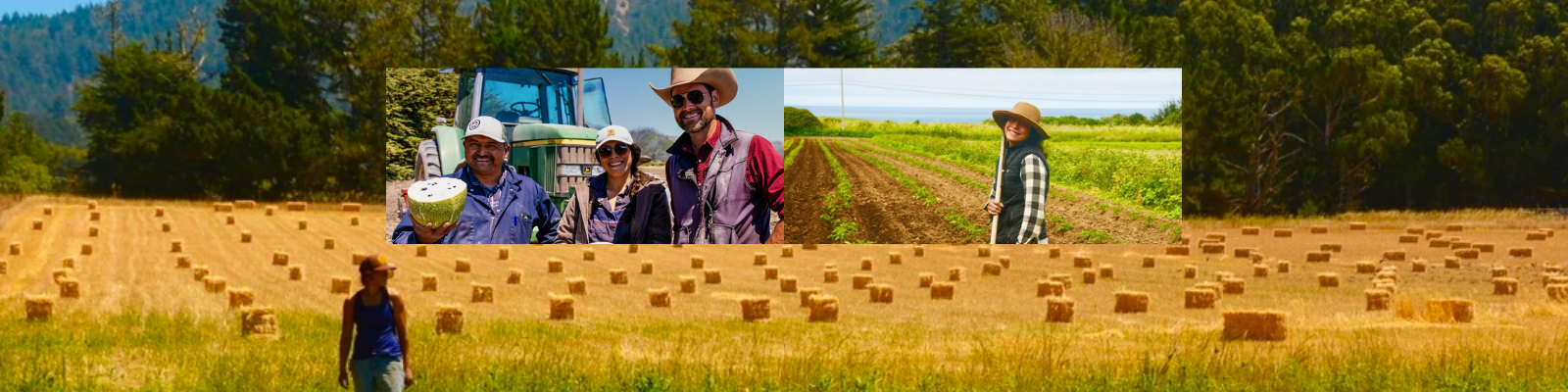 Coastside Local Food Hub banner