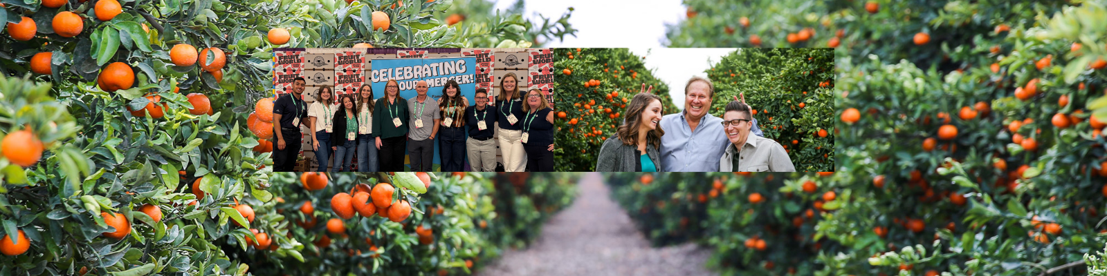 Creekside Organics banner