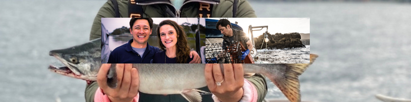 Real Good Fish banner