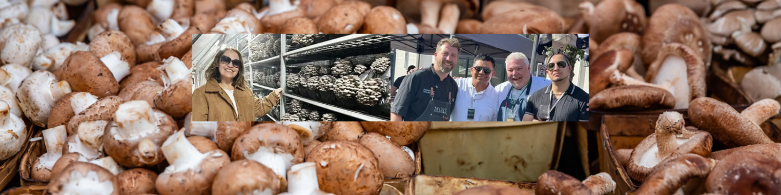 Sumano’s Organic Mushrooms banner