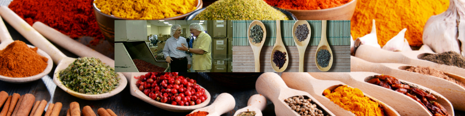 Tampico Spice banner