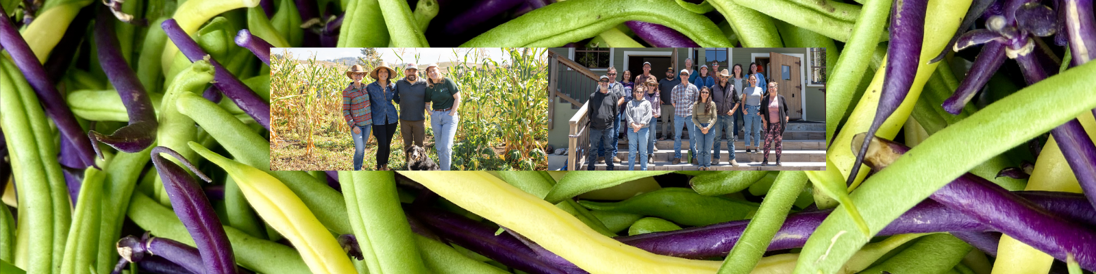 Coastside Local Food Hub banner