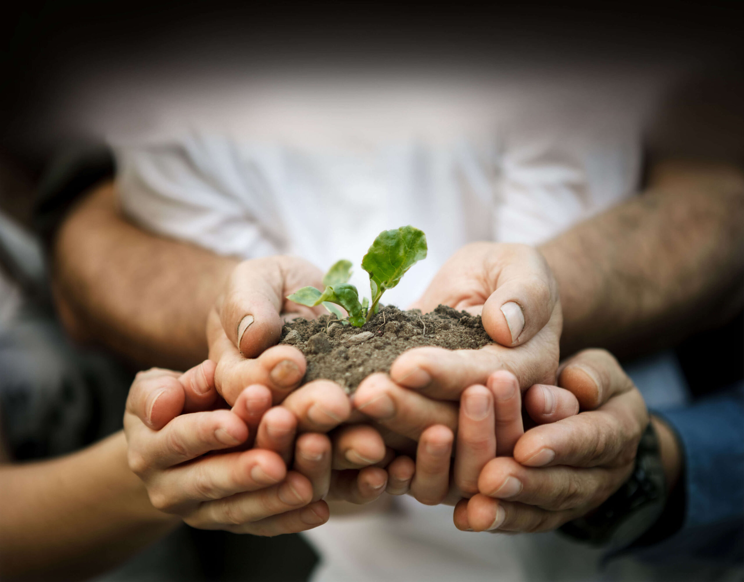 Boskovich Farms banner