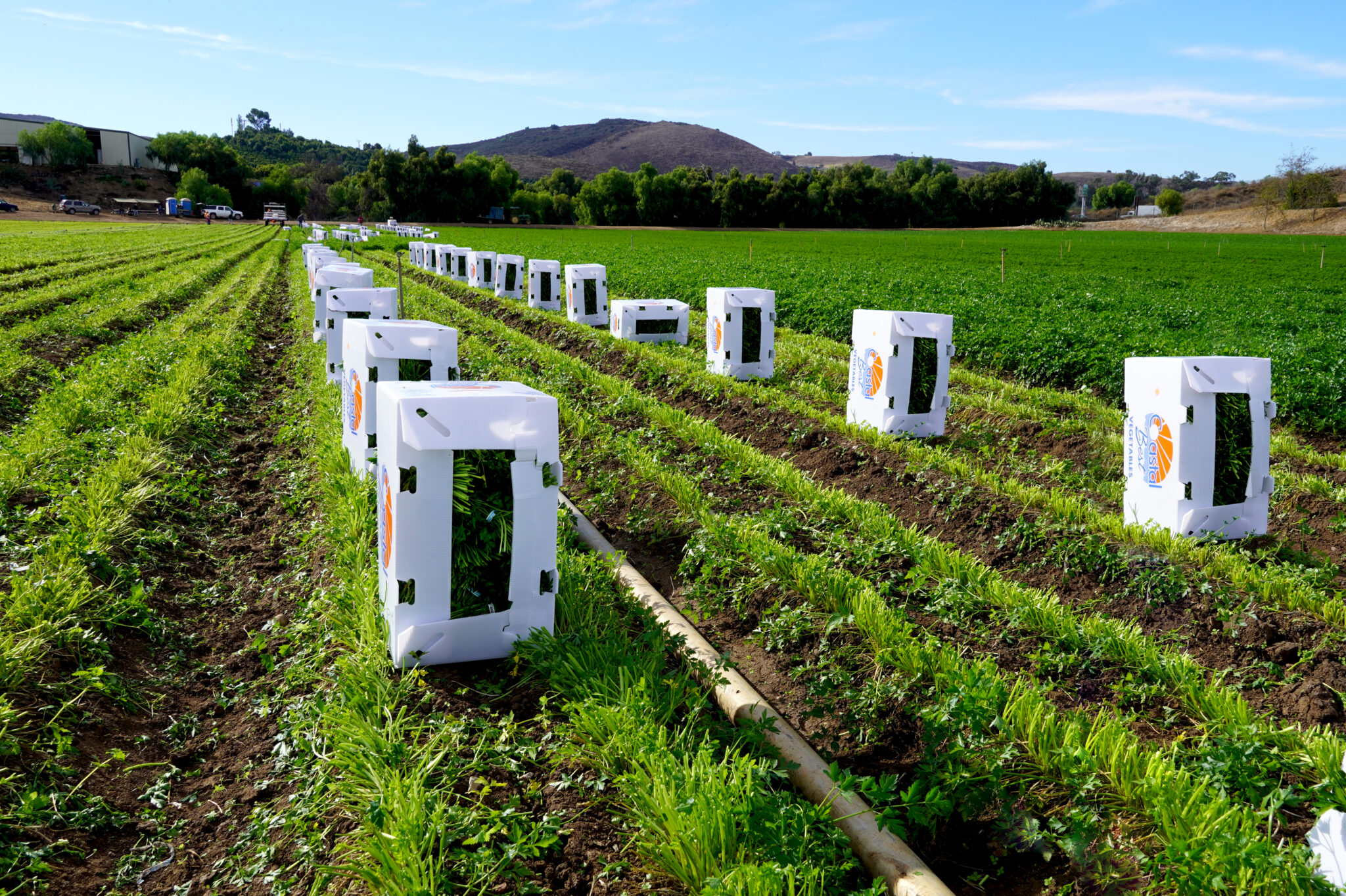 Coastal Fresh Farms banner