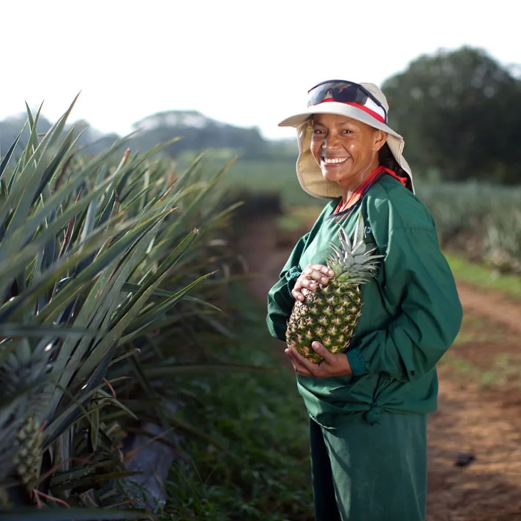 Dole Fresh Vegetables banner