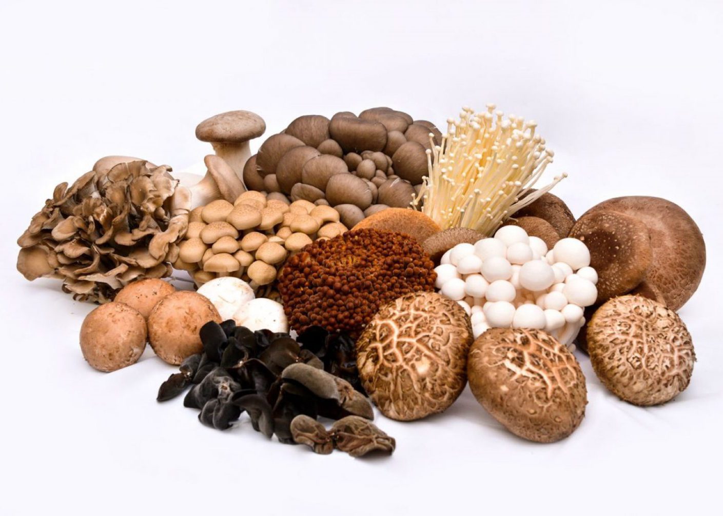 Guan’s Mushroom banner