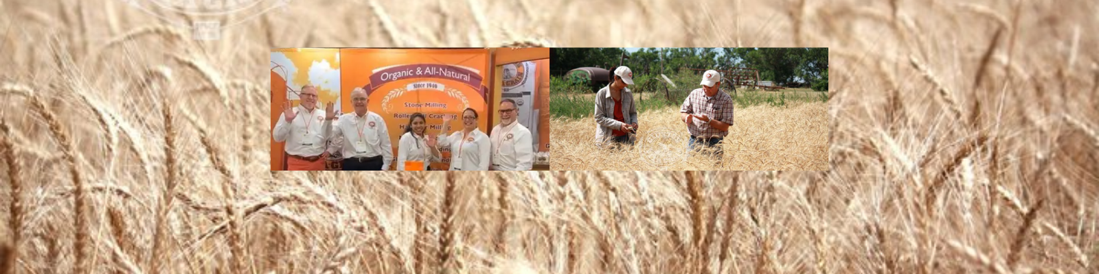 Giusto’s Specialty Foods banner