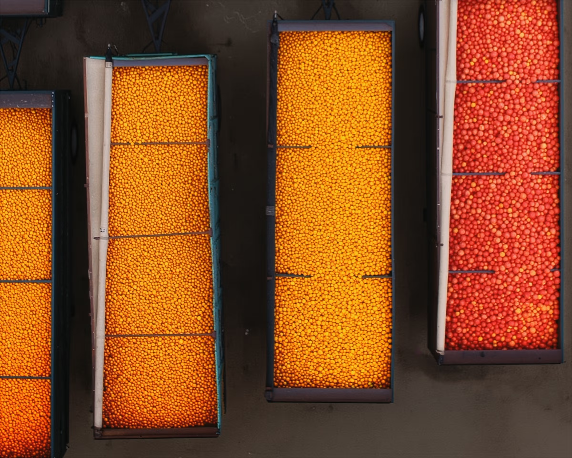 Perricone Juice banner