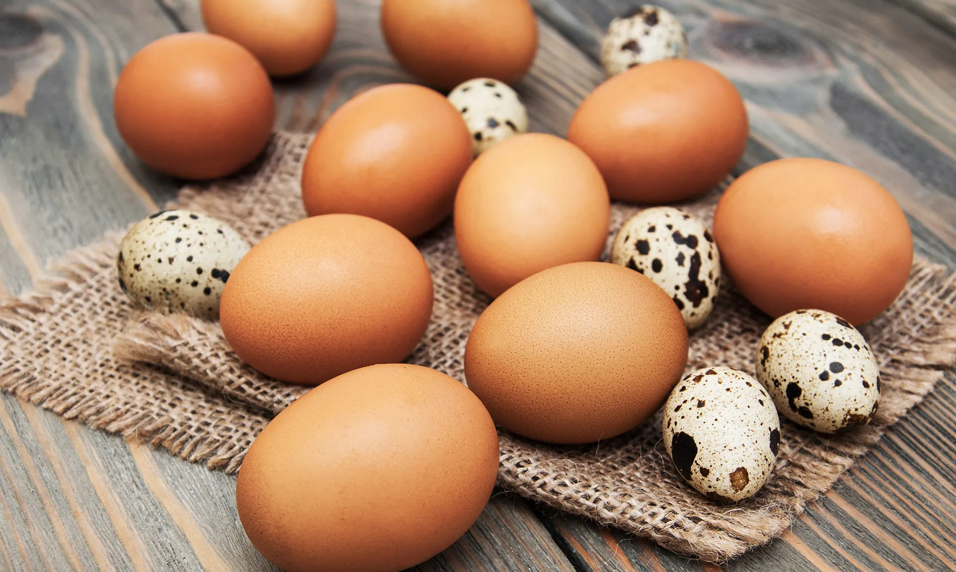 Rosemary Farm banner