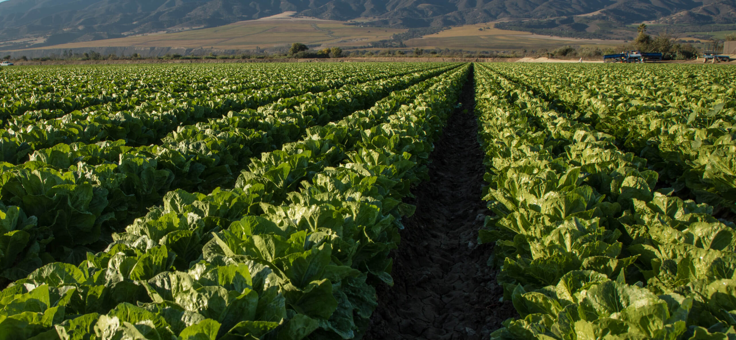 Steinbeck Country Produce banner