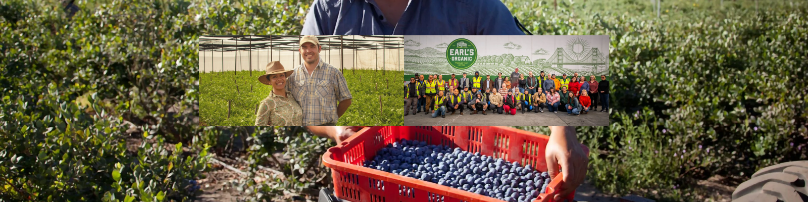 Earl’s Organic Produce banner