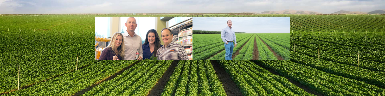 Cal Organics / Grimmway Farms banner