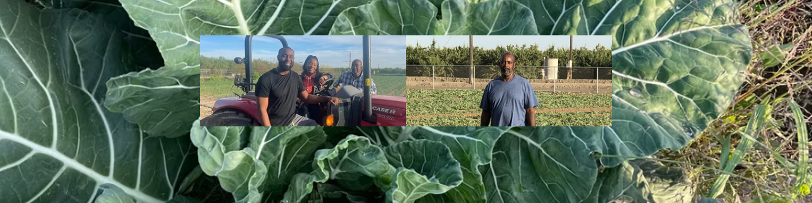 Sherman Produce banner