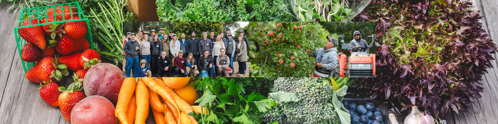 FEED Cooperative banner