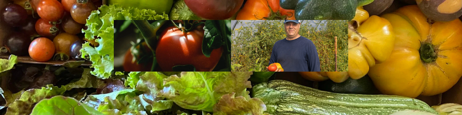 Windrift Farm banner