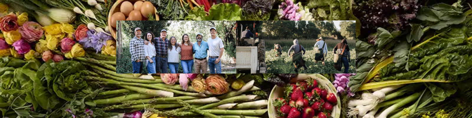 Full Belly Farm banner
