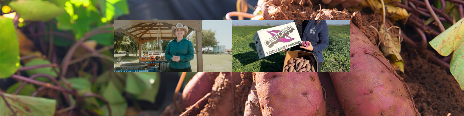 Sweet Valley Produce banner